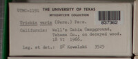 Image Associated With the Occurence